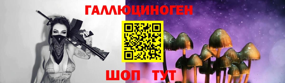 Зеленодольск  Псилоцибиновые грибы мухоморы  Вход с VPN 